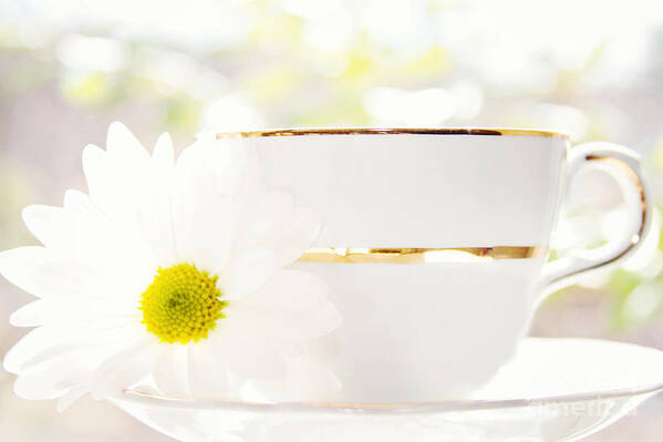 Teacup Art Print featuring the photograph Teacup Filled with Sunshine by Kim Fearheiley