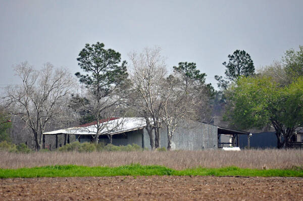 Teresa Blanton Art Print featuring the photograph Texas Barn 7 by Teresa Blanton