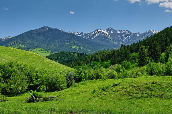 Americas Art Print featuring the photograph The Crazy Mountains by Roderick Bley