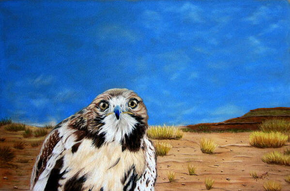 Hawk Art Print featuring the pastel The Hawk by Maris Sherwood