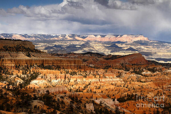 \\\bryce Canyon Art Print featuring the photograph The High Desert Bryce Canyon by Butch Lombardi