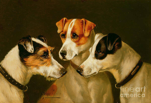 Dog Art Print featuring the painting The Hounds by Alfred Wheeler