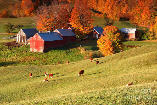 the Jenne Farm Art Print featuring the photograph The Jenne Farm by Butch Lombardi