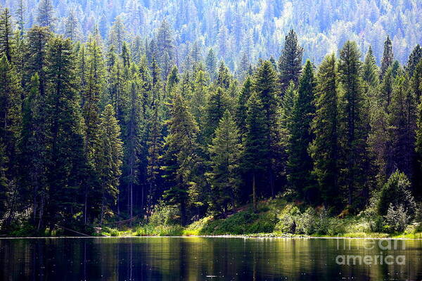 Idaho Art Print featuring the photograph The Lake by Carol Groenen