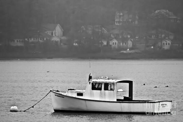 Maine Art Print featuring the photograph The Mary Rose II by Brenda Giasson