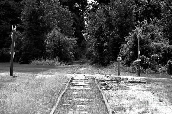 Railroad Art Print featuring the photograph Abandoned Rails by John Black