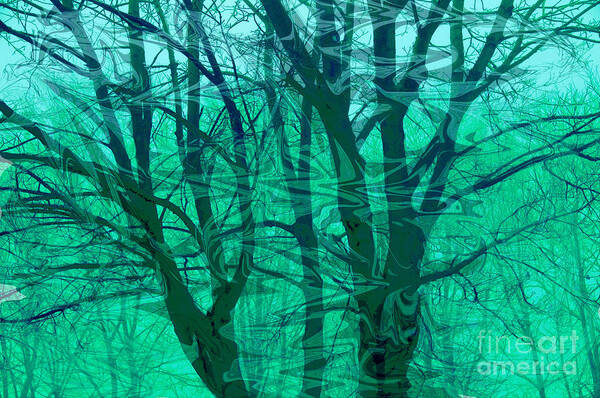 Digital Art Art Print featuring the photograph Trees by Sheila Laurens