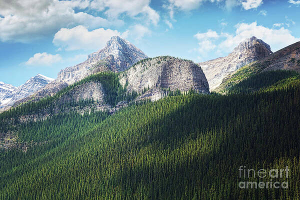 Alberta Art Print featuring the photograph View of the Rocky Mountains in Alberta by Sandra Cunningham