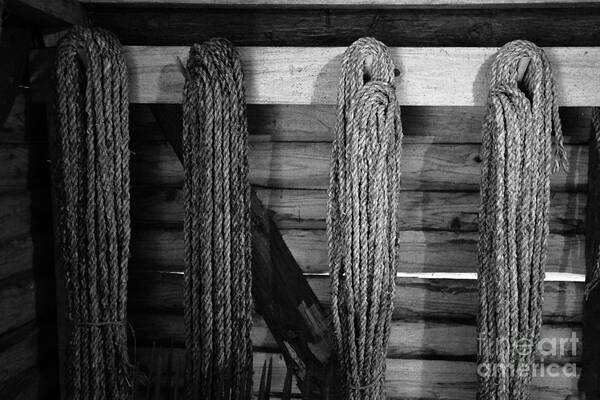 Vintage Art Print featuring the photograph Vintage ropes by Gaspar Avila