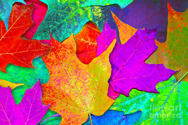 Ginny Gaura Art Print featuring the photograph Vivid Leaves 1 by Ginny Gaura