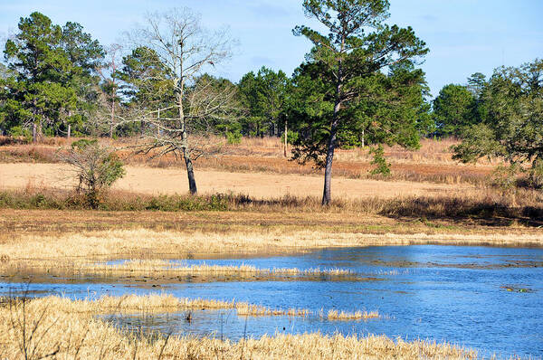 Landscapes Art Print featuring the photograph Water's Edge by Jan Amiss Photography