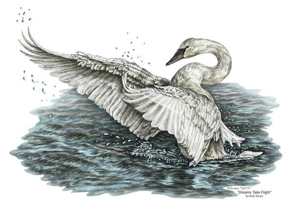White Swan Art Print featuring the drawing White Swan - Dreams Take Flight-tinted by Kelli Swan