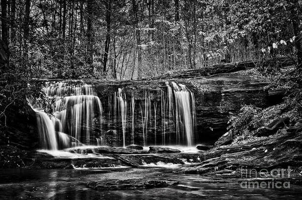 Black And White Landscape Art Print featuring the photograph Wildcat Creek by David Waldrop