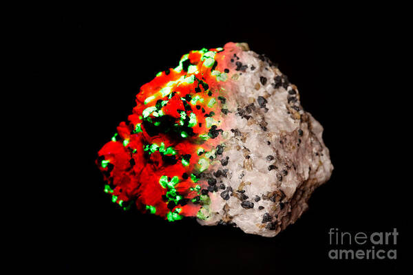 Franklinite Art Print featuring the photograph Willemite In Uv Lightwhite Light by Ted Kinsman