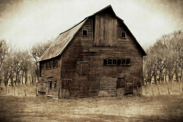 Barn Art Print featuring the photograph Windows4 by Julie Hamilton