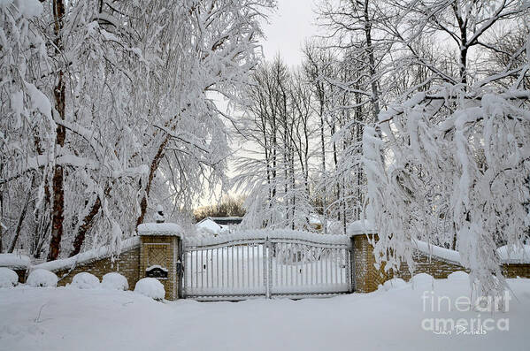 House Art Print featuring the photograph Winter by Jan Daniels