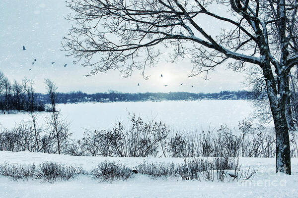 Alone Art Print featuring the photograph Winter landscape overlooking a lake by Sandra Cunningham