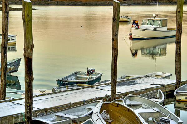 Harbor Art Print featuring the photograph Winter Morning by Brenda Giasson