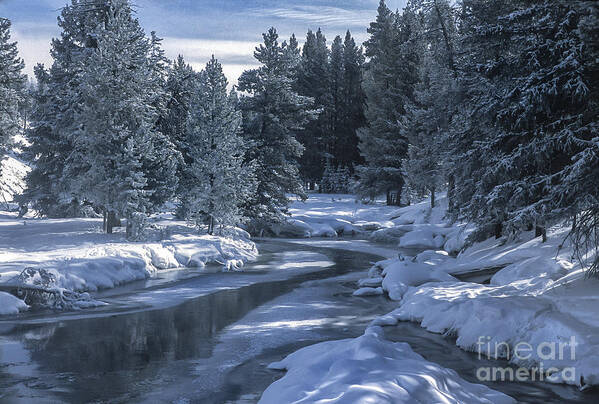 Winter Art Print featuring the photograph Winter's Splendor by Sandra Bronstein