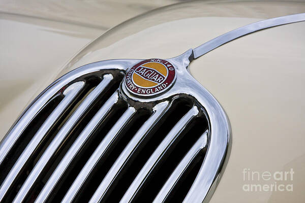 Jaguar Art Print featuring the photograph Xk 140 by Dennis Hedberg