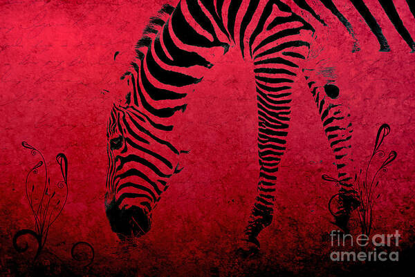 Zebra Art Print featuring the photograph Zebra on Red by Aimelle Ml