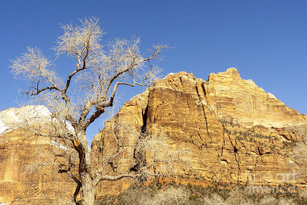 Zion Art Print featuring the photograph Zion Winter Sky by Bob and Nancy Kendrick