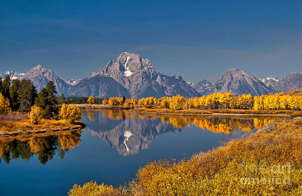 Oxbow Bend Art Print featuring the photograph Fall Colors at Oxbow Bend in Grand Teton National Park by Sam Antonio