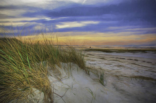 Coastal Scene Art Print featuring the photograph Sunset Beach Dunes by Mary Clough