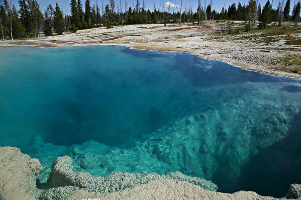 Hot Art Print featuring the photograph  Turquoise hot springs Yellowstone by Garry Gay