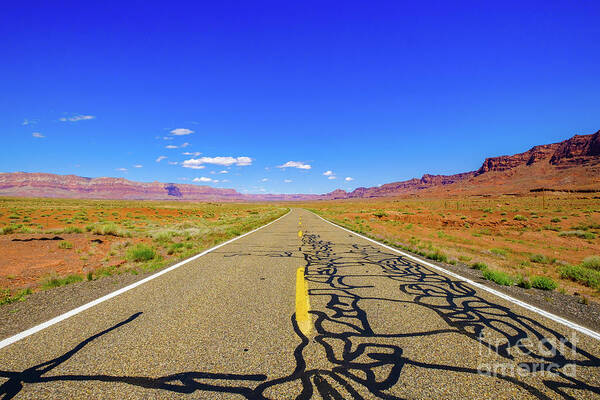Arizona Art Print featuring the photograph Arizona Desert Highway #3 by Raul Rodriguez