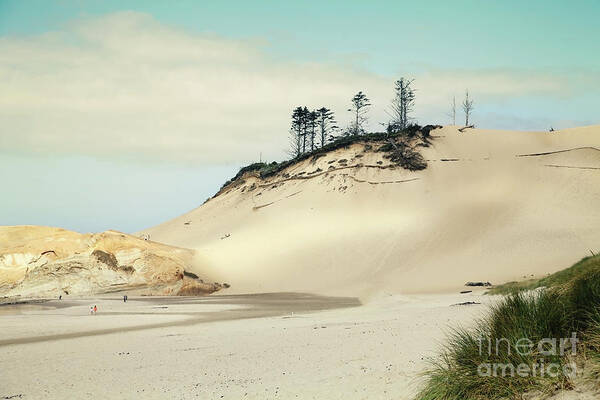 Landscape Art Print featuring the photograph Beach Dunes #1 by Sylvia Cook