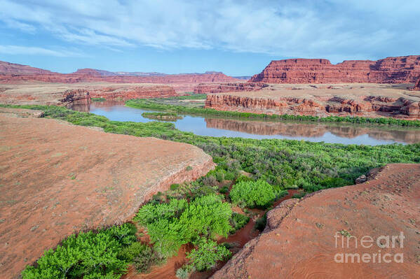 Colorado River Art Print featuring the photograph Canyon of Colorado River in Utah aerial view #2 by Marek Uliasz