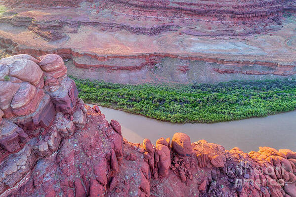 Colorado River Art Print featuring the photograph Canyon of Colorado River - sunrise aerial view #2 by Marek Uliasz