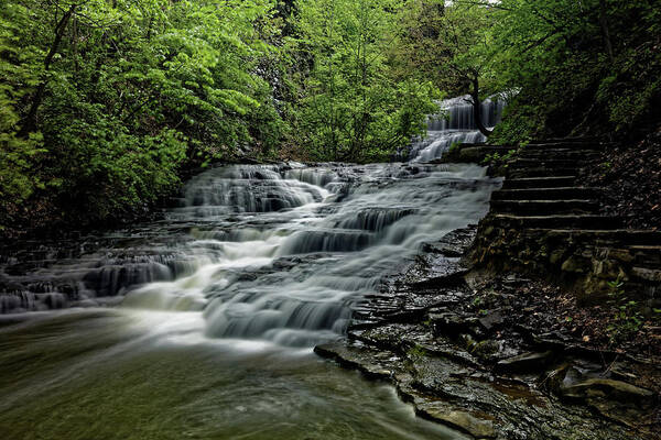 Cascadilla Gorge Art Print featuring the photograph Cascadilla Gorge Falls #4 by Doolittle Photography and Art