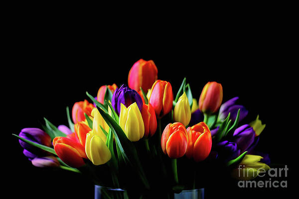Digital Painting Art Print featuring the photograph Colorful Tulips #1 by Darren Fisher