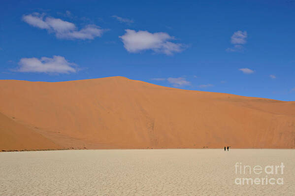 Deadvlei Art Print featuring the photograph Desert In Dead Vlei #1 by Francesco Tomasinelli