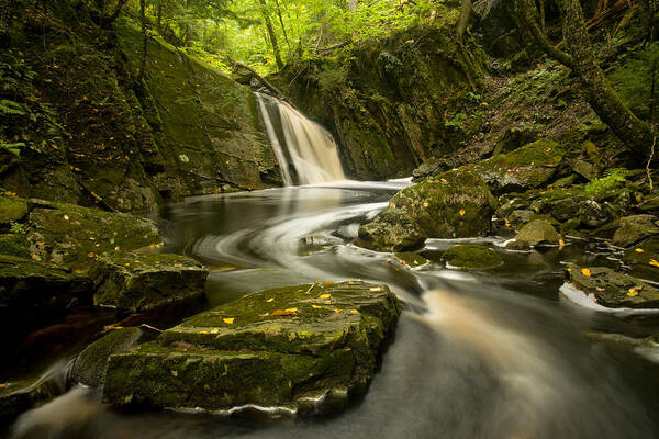 Autumn Art Print featuring the photograph Early Autumn Waterfall #1 by Irwin Barrett