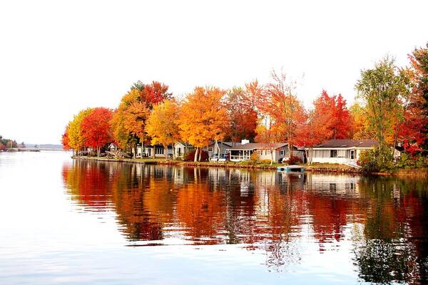 Leaves Art Print featuring the photograph Fall Reflections #1 by Charlene Reinauer