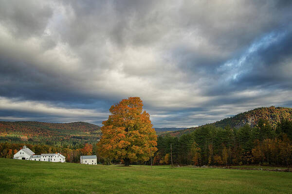 #mountains#farm#fall#landscape#maine Art Print featuring the photograph Farm in the Mountains #1 by Darylann Leonard Photography