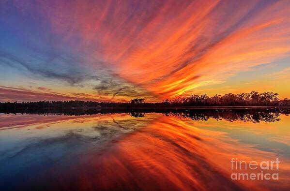 Sunset Art Print featuring the photograph Fire Water by DJA Images