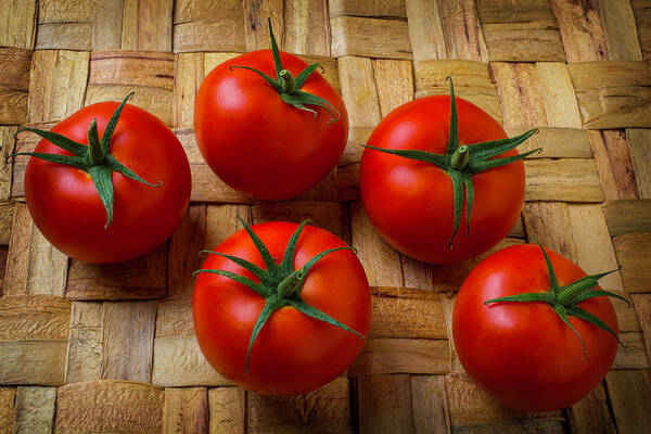 Five Art Print featuring the photograph Five Tomatoes #2 by Garry Gay