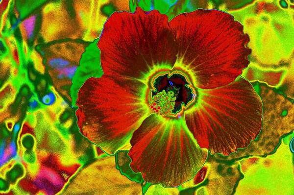 Hibiscus Art Print featuring the photograph Flaming Hibiscus #1 by Richard Henne