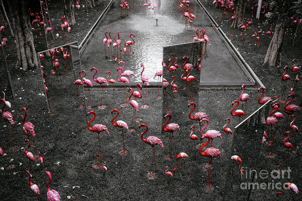 B&w Art Print featuring the photograph Flamingo #1 by Setsiri Silapasuwanchai