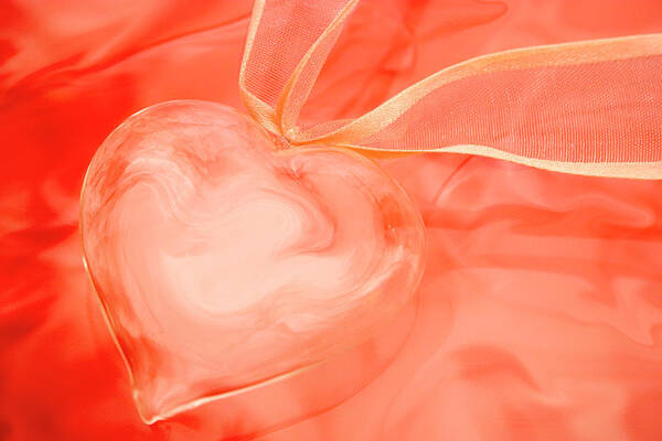 Heart Art Print featuring the photograph Fragile Heart Valentine's Day Card by Carol Leigh