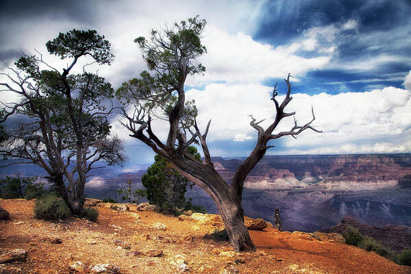 Grand Canyon Art Print featuring the photograph Grand Canyon #1 by James Bethanis