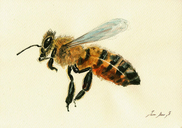 Honey Bee Art Art Print featuring the painting Honey bee watercolor painting #1 by Juan Bosco