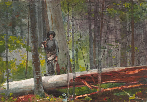 Winslow Homer Art Print featuring the drawing Hunter in the Adirondacks #1 by Winslow Homer