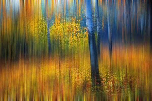 Autumn Art Print featuring the photograph In the Golden Woods. Impressionism #2 by Jenny Rainbow