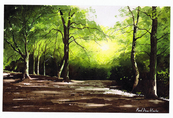 Judy Woods Art Print featuring the painting Judy Woods by Paul Dene Marlor