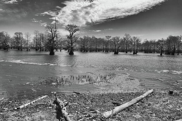 Infrared Art Print featuring the photograph Lake Bistineau #2 by Jim Cook